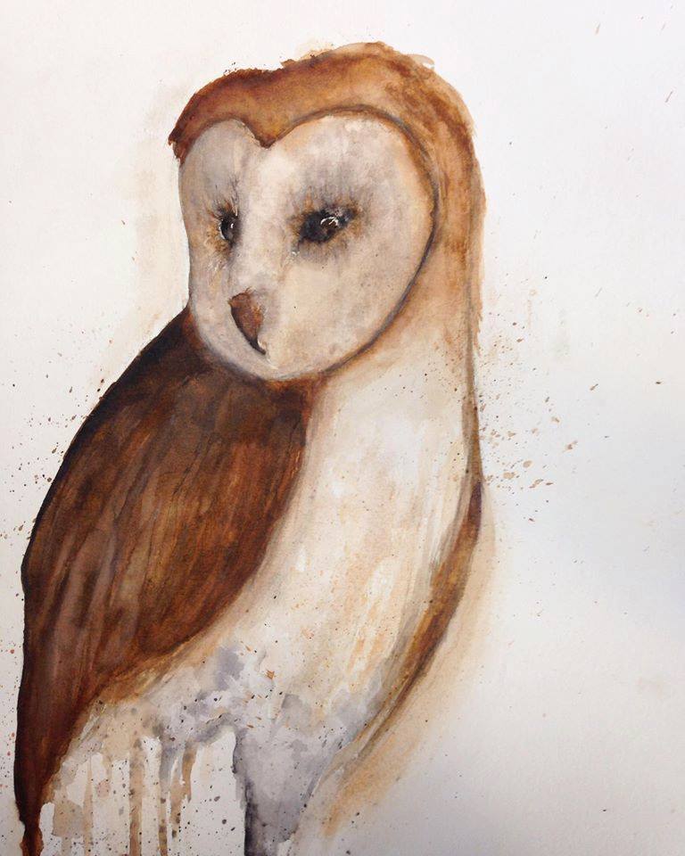 13307304_1047935021966908_2013404954560402535_n